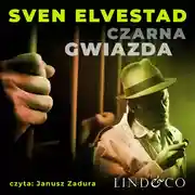 Постер книги Czarna Gwiazda