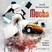 Постер книги Mucha