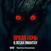 Постер книги Яркая ночь в лесах Ямантау
