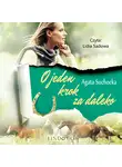 Agata Suchocka - O jeden krok za daleko