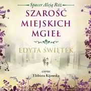 Постер книги Szarość miejskich mgieł