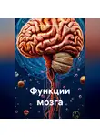 Игорь Запорощенко - Функции мозга