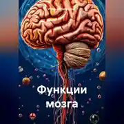 Постер книги Функции мозга