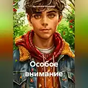 Постер книги Особое внимание