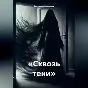 Постер книги «Сквозь тени»