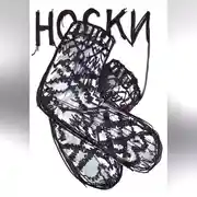 Постер книги Носки
