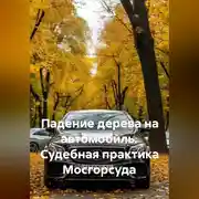 Постер книги Падение дерева на автомобиль. Судебная практика Мосгорсуда