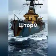 Постер книги Шторм