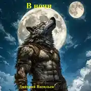 Постер книги В ночи