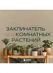 Евгения Лисова - Заклинатель комнатных растений. Секретные лайфхаки от профессионального цветовода