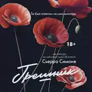 Постер книги Грешник