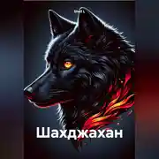 Постер книги Шахджахан