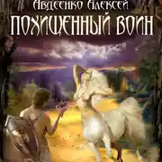 Постер книги Похищенный воин