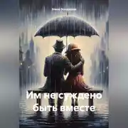 Постер книги Им не суждено быть вместе
