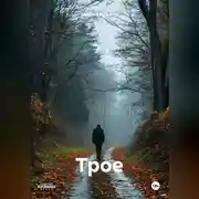 Постер книги Трое