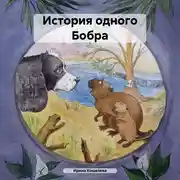 Постер книги История одного Бобра