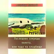 Постер книги Последние секунды полета, или чудо на кладбище