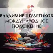 Постер книги Международное положение