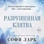 Постер книги Разрушенная клятва