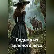 Постер книги Ведьма из зелёного леса