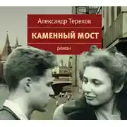 Постер книги Каменный мост