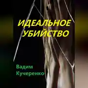 Постер книги Идеальное убийство