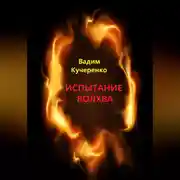 Постер книги Испытание волхва