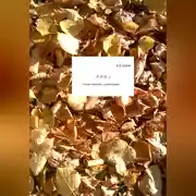 Постер книги Липа