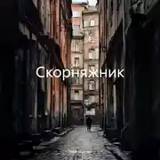 Постер книги Скорняжник