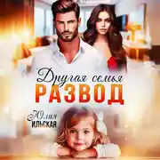 Постер книги Развод. Другая семья