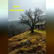 Постер книги дурачок