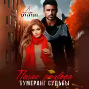 Постер книги После развода. Бумеранг судьбы