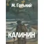 Постер книги Калинин