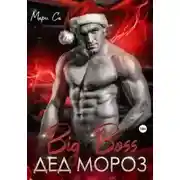 Постер книги Биг Босс. Дед Мороз