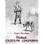 Постер книги Новые искатели сокровищ