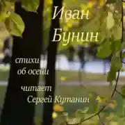 Постер книги Стихи об осени