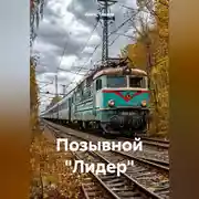 Постер книги Позывной «Лидер»