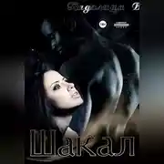 Постер книги Шакал