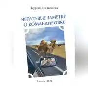 Постер книги Непутевые заметки о командировке