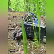 Постер книги Дневники оркнессы. Книга 3 и 4. Утомленные счастьем