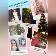 Постер книги Предновогодний квест