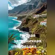 Постер книги Первая заграничная поездка