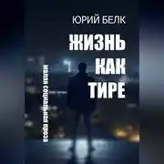 Постер книги Жизнь как тире