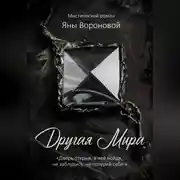 Постер книги Другая Мира