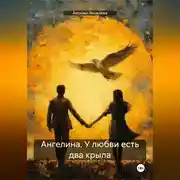 Постер книги Ангелина. У любви есть два крыла