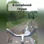 Постер книги В потаённой глуши
