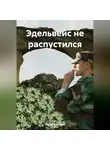 Сергей Вахренев - Эдельвейс не распустился