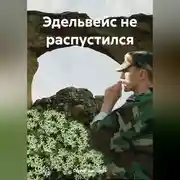 Постер книги Эдельвейс не распустился