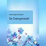 Постер книги За Снегурочкой