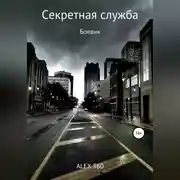 Постер книги Секретная служба